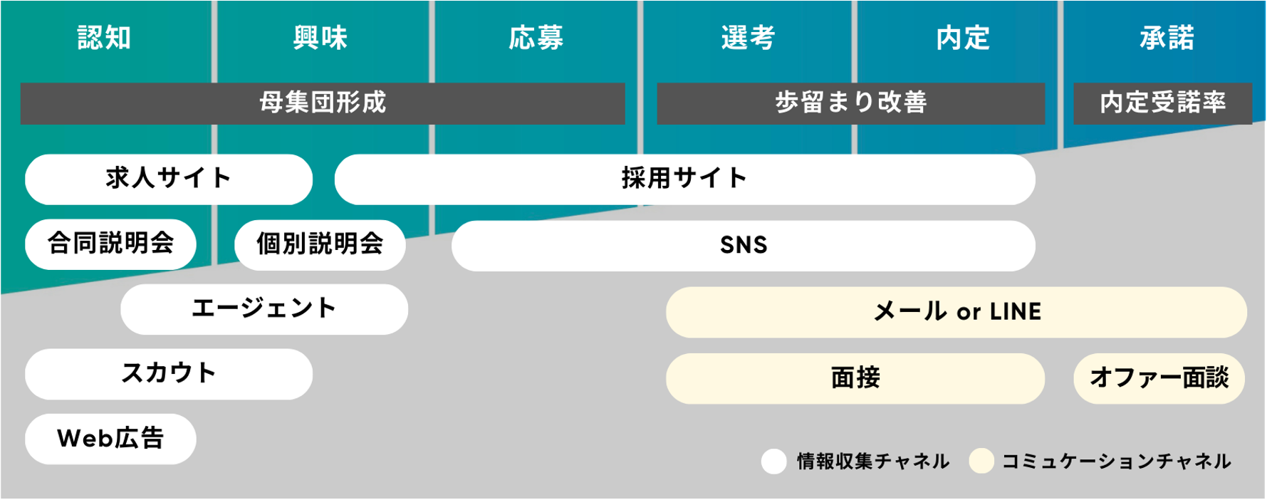 採用動画の効果