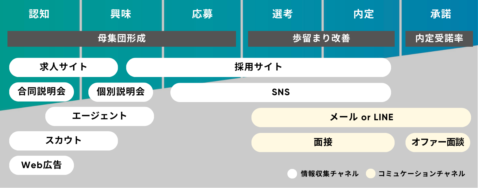 幅広い採用フェーズで利用可能